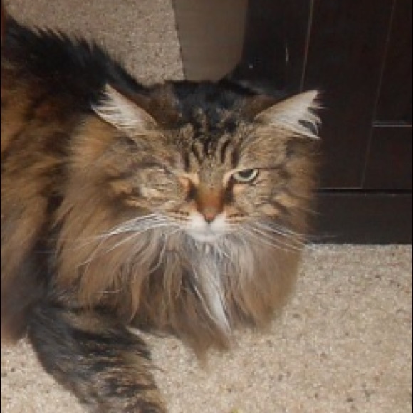 Meet your Posher - Picture 1 of 1